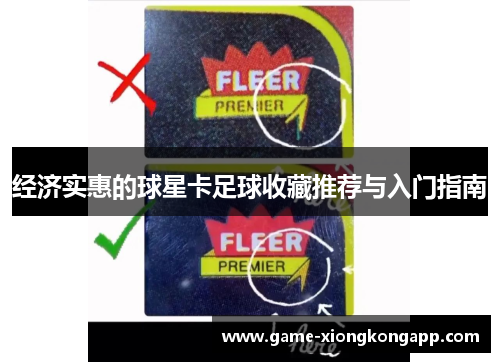 经济实惠的球星卡足球收藏推荐与入门指南